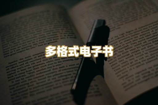 多格式电子书